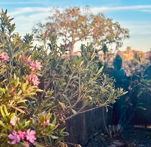 Amida * לאחארס