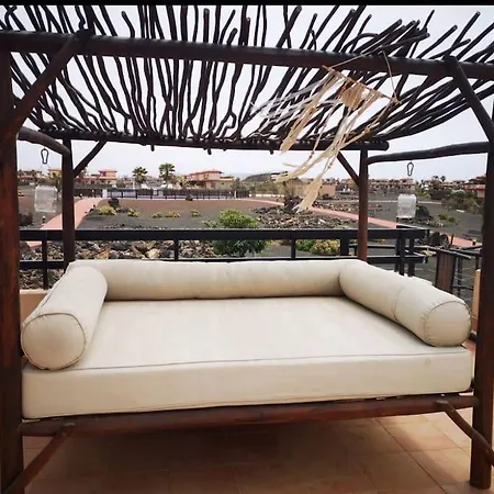 Amida Сasa de vacaciones