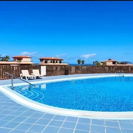 Amida Сasa de vacaciones